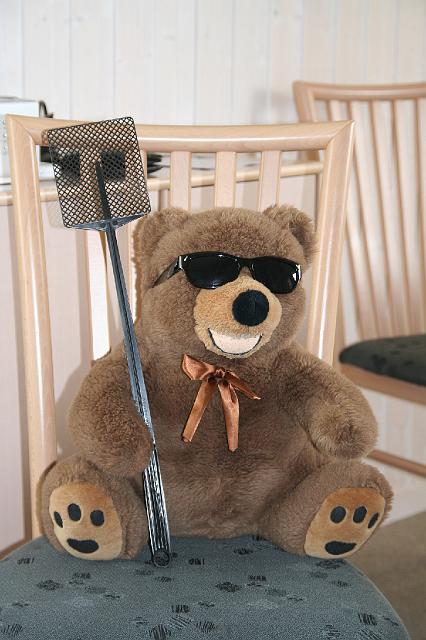 56 Teddy auf Fliegenfang.jpg